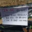 아침못농장 이미지