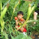 주호농장 이미지