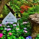 한일유엔아이 이미지