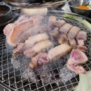 장미로92번길 이미지