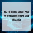 엉클장동물병원 이미지