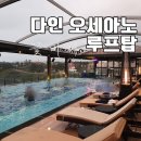 다인철물 | 제주 다인오세아노 호텔 루프탑 수영장, 리조트 숙박하고 이용후기!