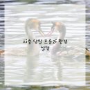 샵설렘