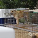 감당농장 이미지