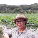 송산2리 이미지