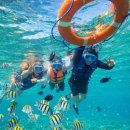 다가존 | 가격 저렴한 업체 예약하고 만족한 세부호핑투어 추천 존투어 후기