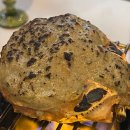 일출종합마트 이미지