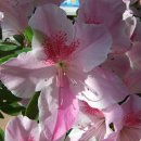 나무약국 이미지