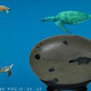 용궁 - 화성시 | 용궁