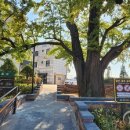 하촌어린이공원 이미지