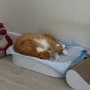 용재농장 | 그냥 해!!