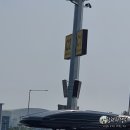 코델리아호스텔 | [광고X, 모조리 내돈내산] 제주도 태교여행 3박4일 일정공유
