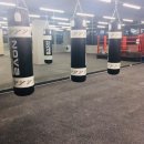 브라보 복싱 이미지