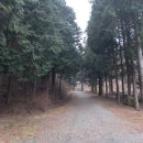 잣향기푸른마을 이미지