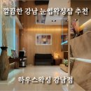 하우스왁싱강남 티스토리
