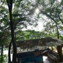 살구골낚시터 이미지