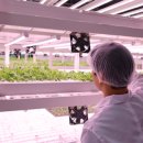 와이즈팜 이미지