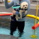 놀로 아쿠아센터 이미지