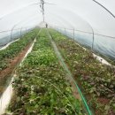 종순농장 이미지