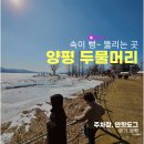 지명연농장 | 두물머리 핫도그 겨울 양평 가볼 만한 곳 주차장 후기
