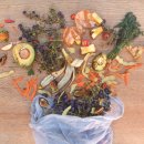 로터스블랑 이미지