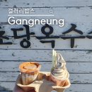 종우목장 | 강릉 갤러리밥스 웨이팅 지옥! 주차 꿀팁과 기대 이상 소금빵 조합