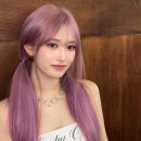 귀하다 이미지