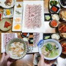 제주공항 근처 횟집 제주시 삼치회 맛집 다미회