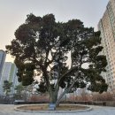 시민체육공원 인라인스케이트장 이미지