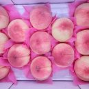 우리마켓