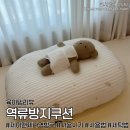 푸른세탁 | 제이앤제나 역류방지쿠션 사용후기ㅣ역방쿠 사용시기, 사용법, 세탁방법