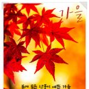 미션무예합기도 이미지