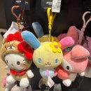 세기고물상 | 2월인데 눈이 계속 와요☃️/ 2025 2월 일상(1)/뮤직깔급발진/귀여움수집가🐈🐈‍⬛