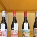 피치비치 이미지