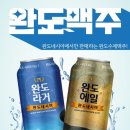 완도스타일