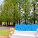 삼성화재 모빌리티뮤지엄 이미지