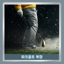 솔스크린골프