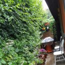 송정등대민박 이미지