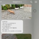 텐빌멍하우스 네이버블로그
