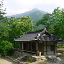 금바우골 이미지