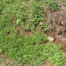 세화농장 이미지