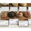 오델리스 이미지