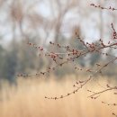 조현우정신건강의학과의원 이미지