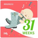31주 / 뽀랑이 덕분에 공주놀이
