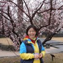 전의를디자인하는사람들 이미지