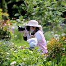 엘리의 정원 이미지