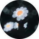 빅뱅온라인(주) | 지드래곤 인 시네마 위버맨쉬 영화 정보와 예매 꿀팁, 특전 안내