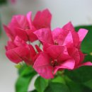 민속한의원 이미지