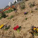 일광농장 이미지