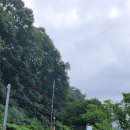 매지순환둘레길 | 치악산둘레길 140Km 챌린지 2차 2일차 - 2코스 구룡길과 매지순환둘레길 그리고 회촌달맞이길 2022-08-14